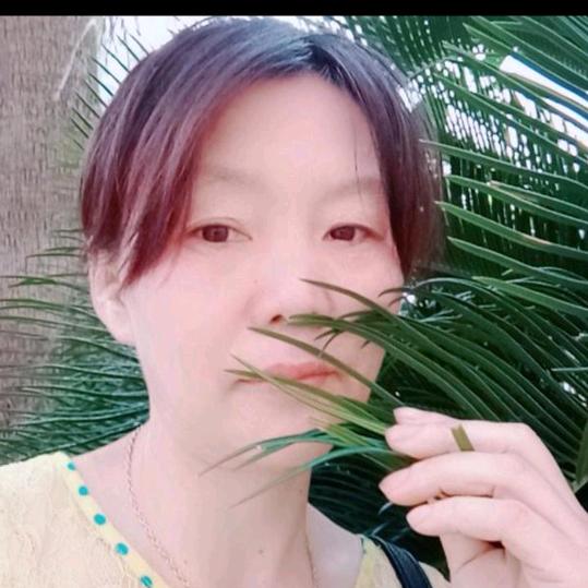 登美（橱窗好物）