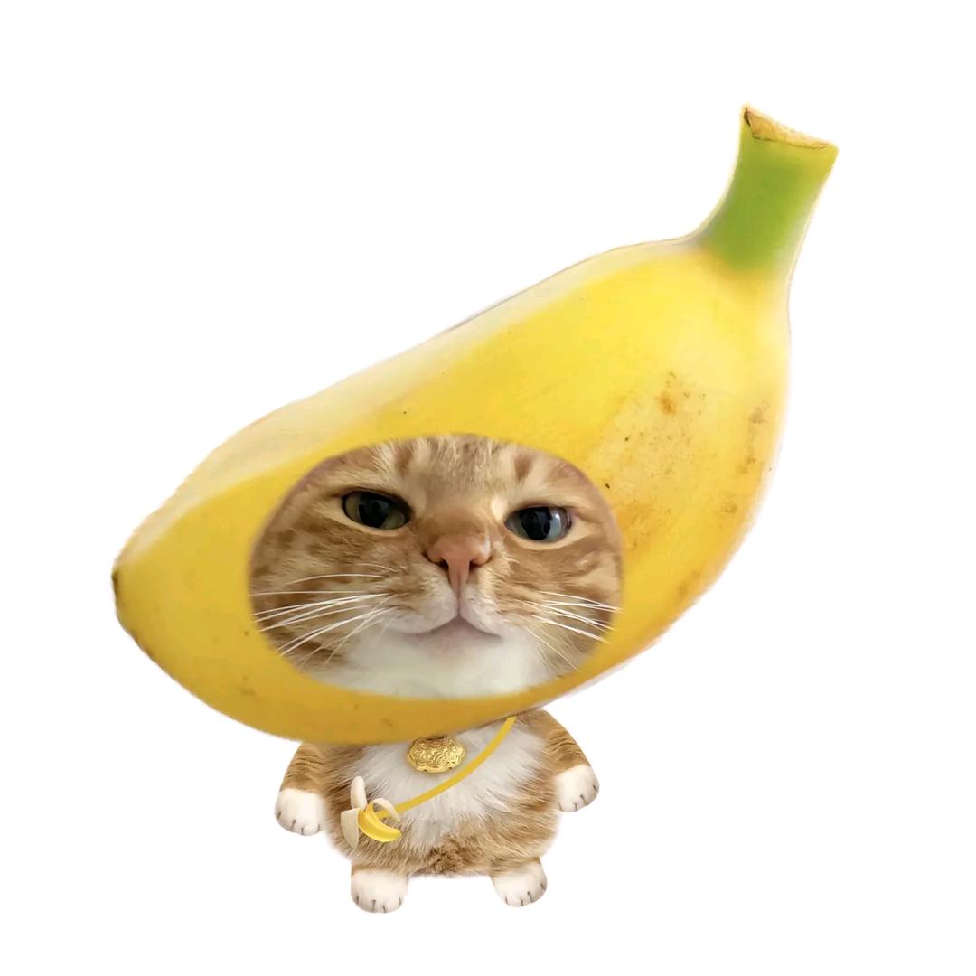 俺是下午见