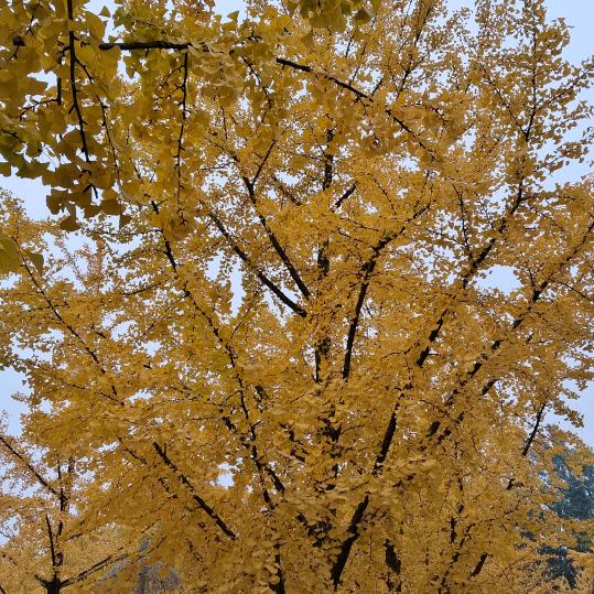 🕊好运终相随ℒℴѵℯ·¹³¹⁴ృ༊