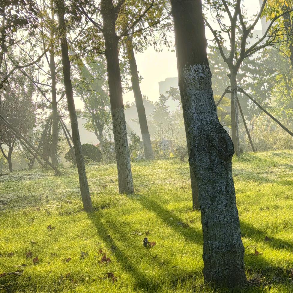 茄子（＾ｖ＾）恰好