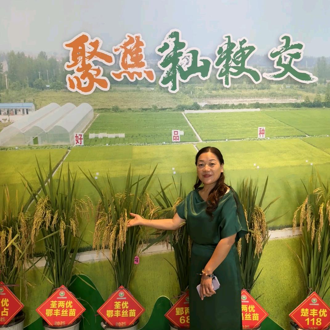 宏坤种业，郑洪