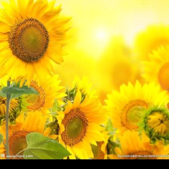 木涵☀️☀️☀️☀️☀️☀️