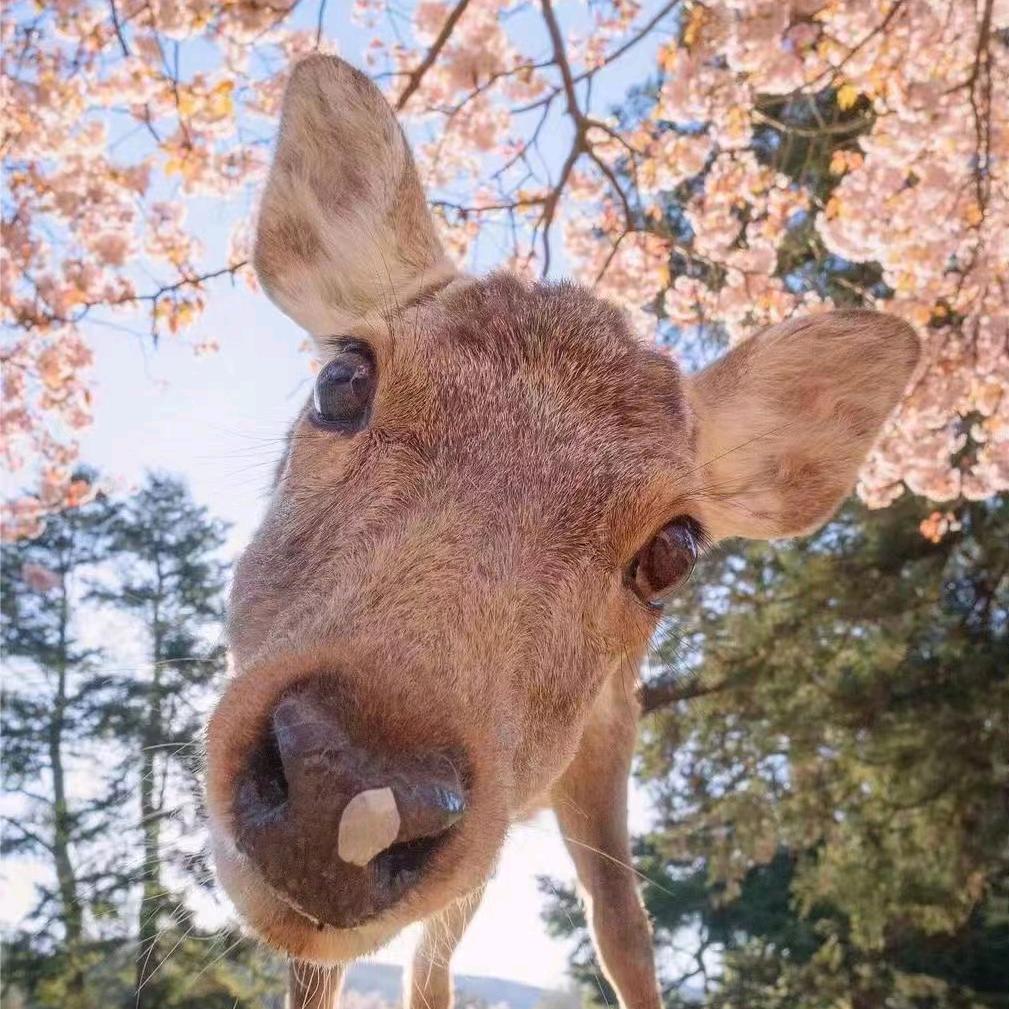 ★☞♥水★沝♥淼★㵘☜★