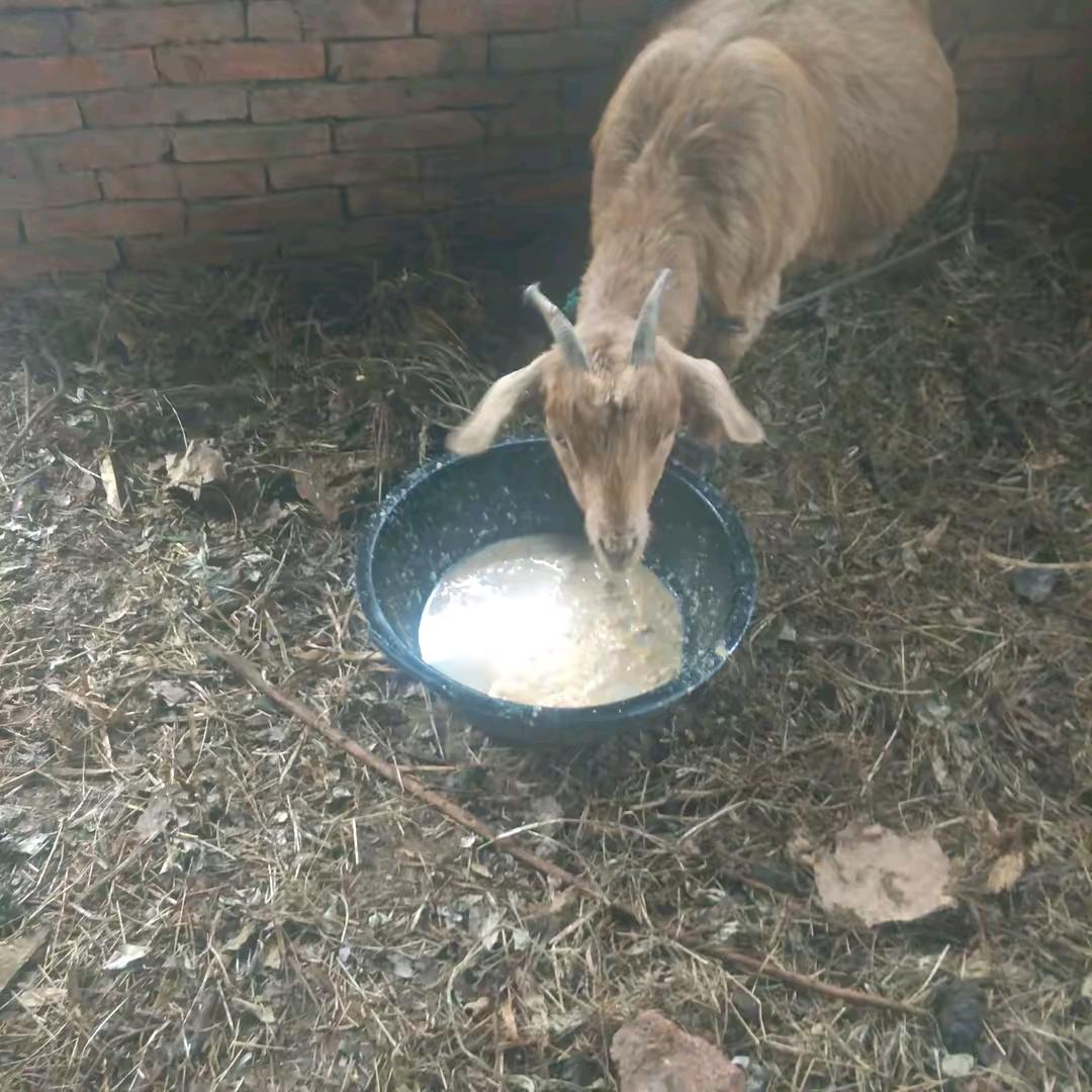 一路阳光更灿烂