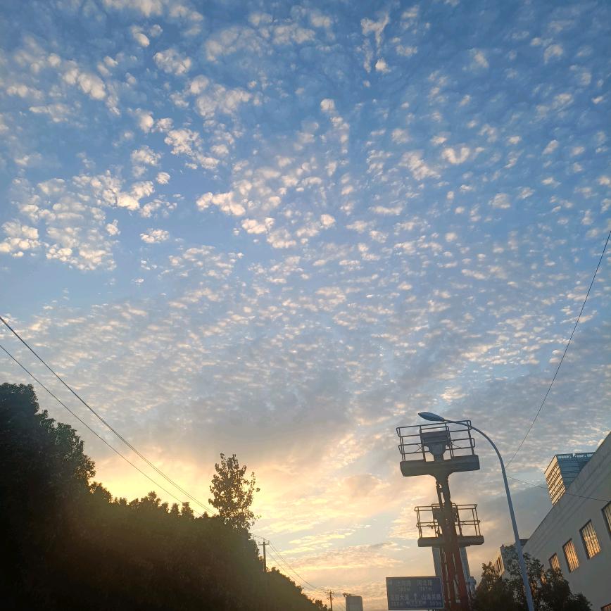 失魂鱼（王者荣耀）