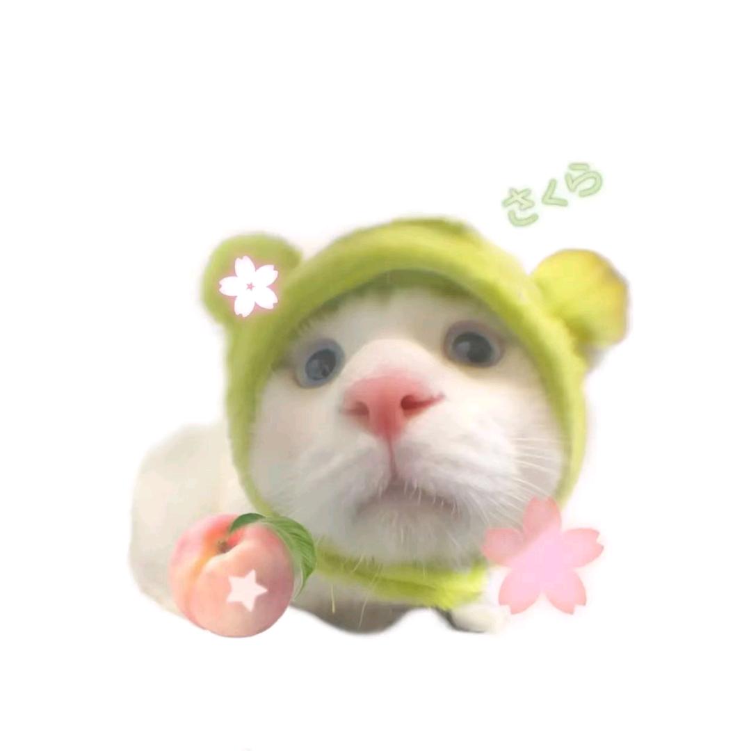 不装不能活吗