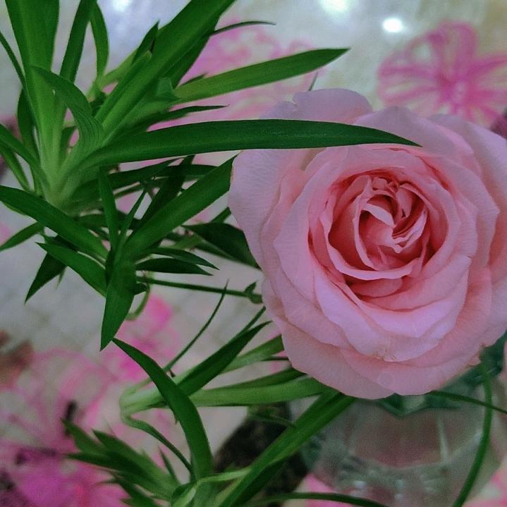 熟悉与陌生🔕🌸😝🌹