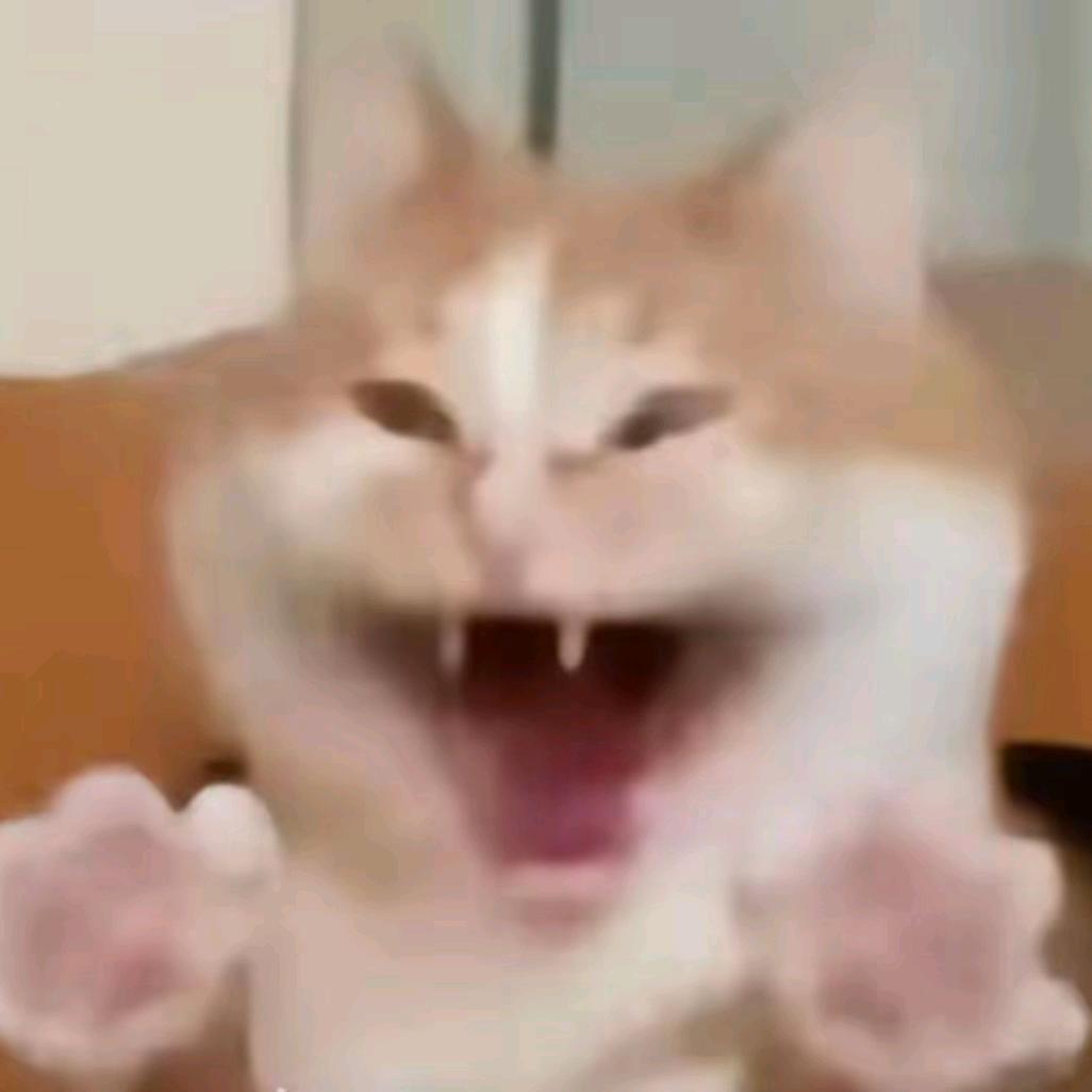 余生半岛不飘雪