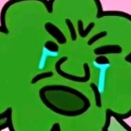 ++++