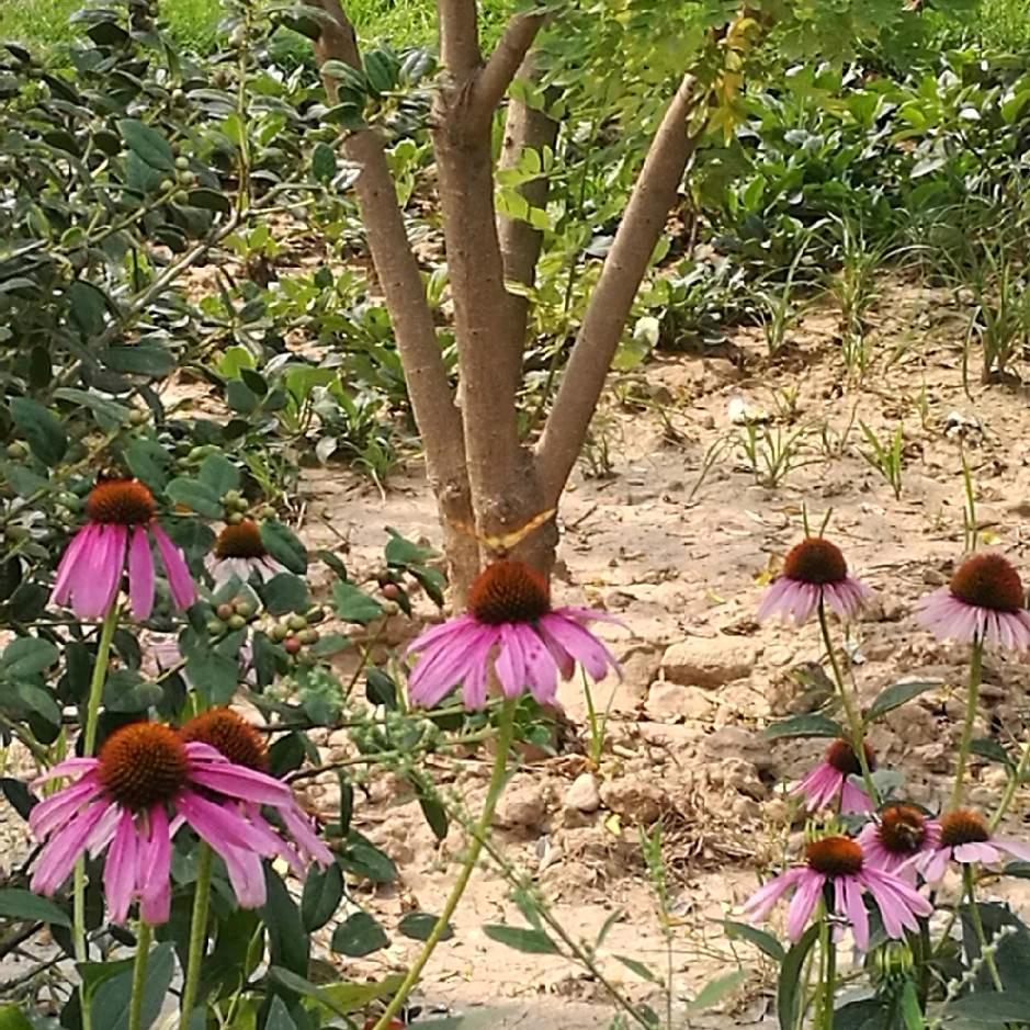 海红良久线上超市