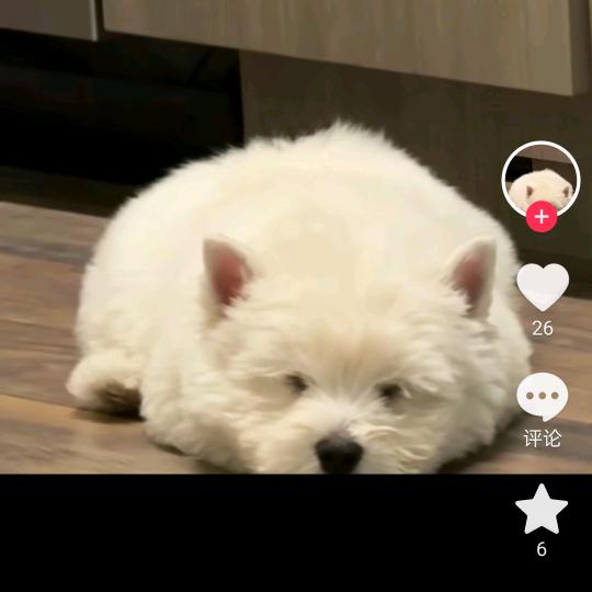 有一种幸福叫陪伴