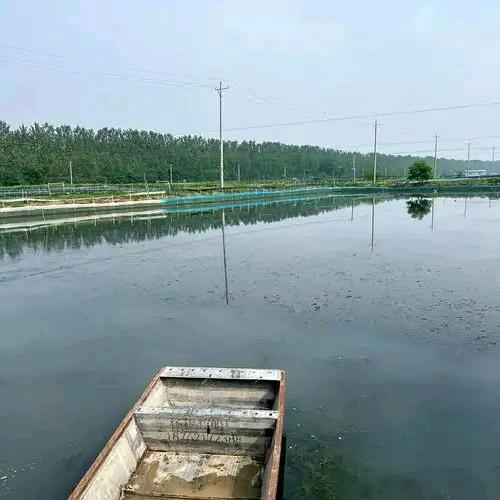 雨杰水产