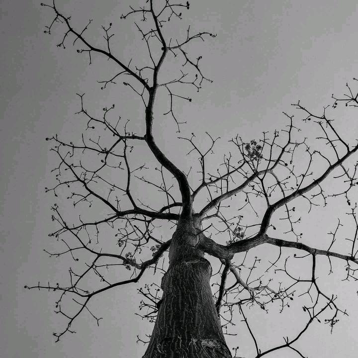 㚎丣