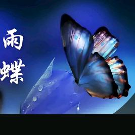 雨蝶