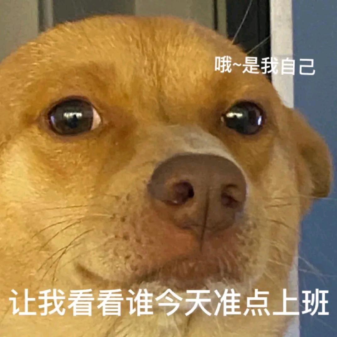 想睡懒觉