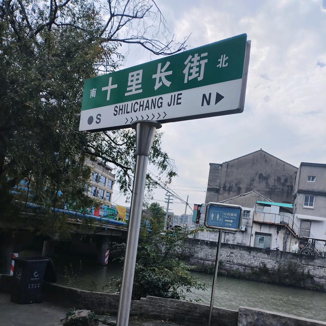 随心