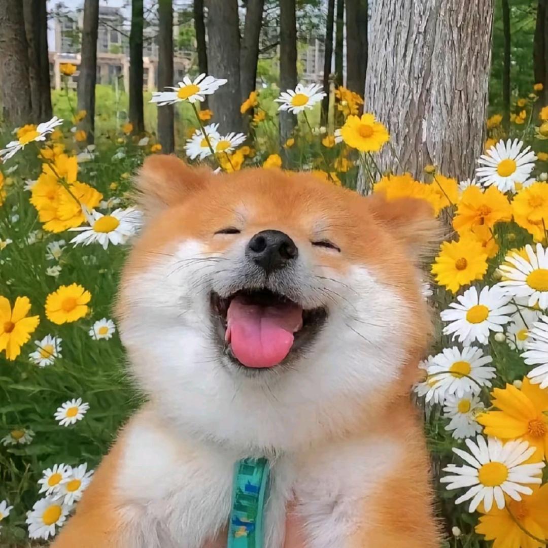 爱背书的生椰拿铁