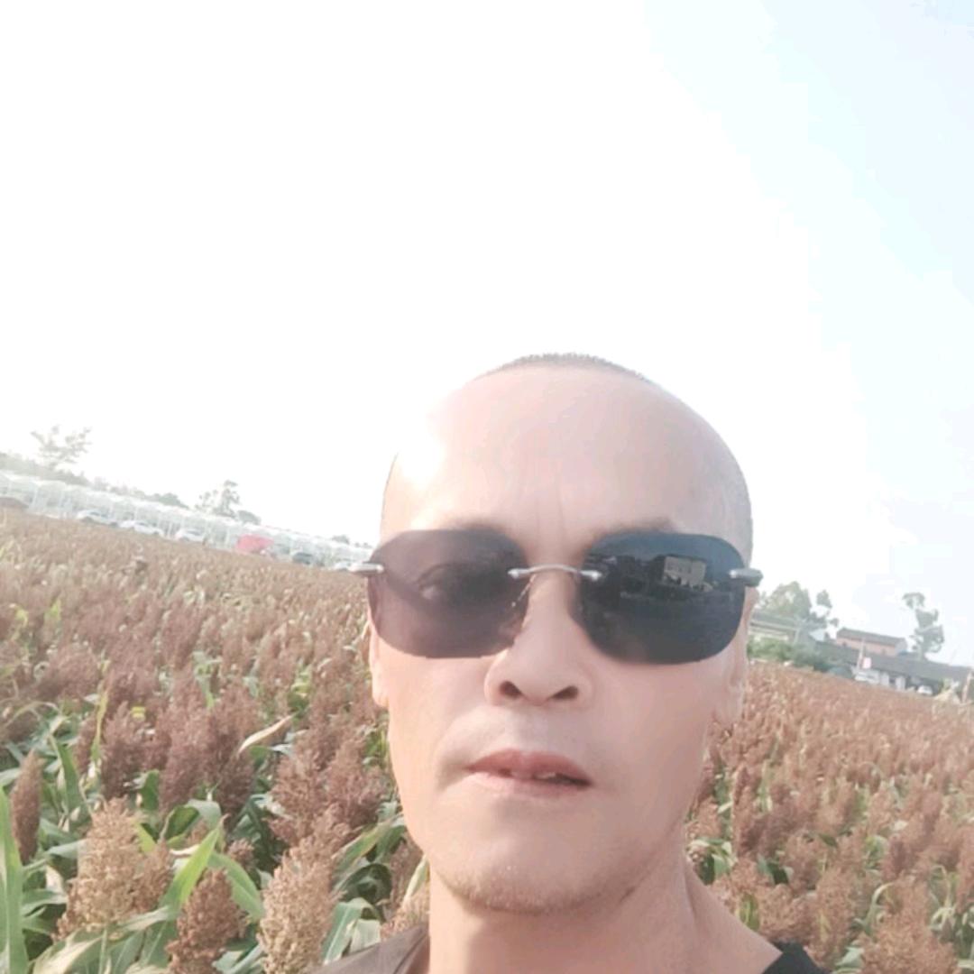 有你真好