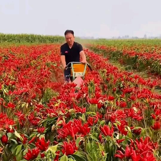 海口龙华嵇承泽百货