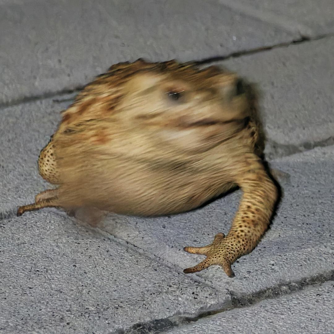 快乐搬运工