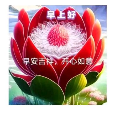 冯雅楠,