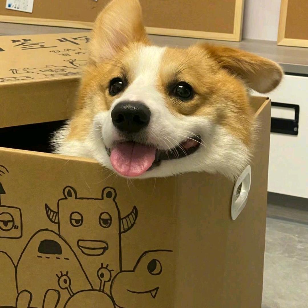 二臂