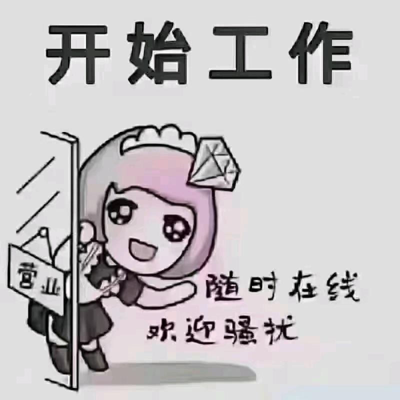 流浪猫