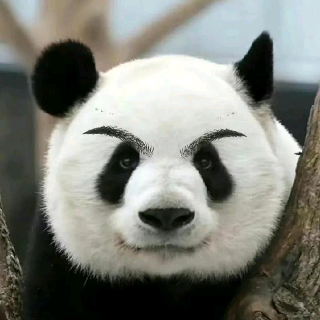 南充柒墨装饰设计