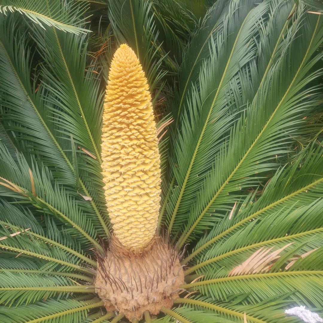 钓不到鱼的大爷