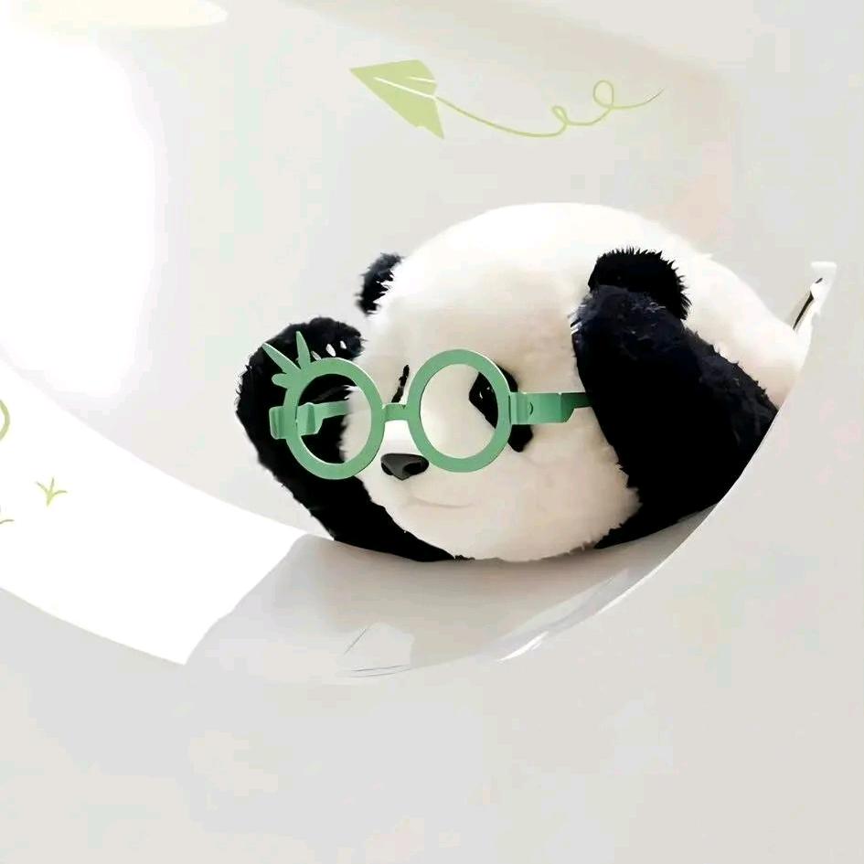 阳光下^~^