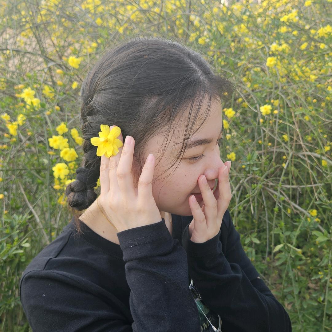森~森