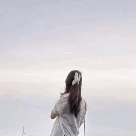 🌹🌹🌹