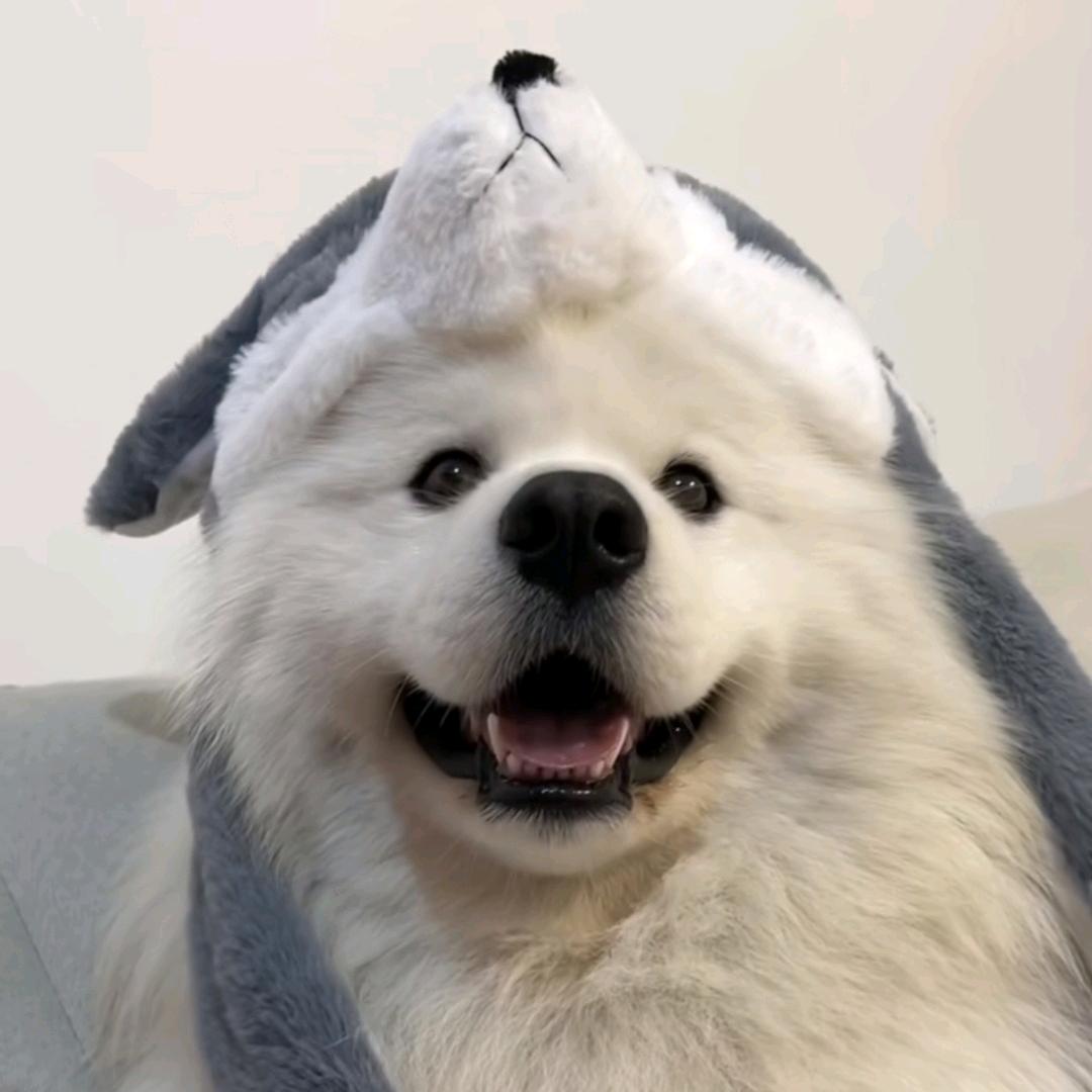 沐辰耶