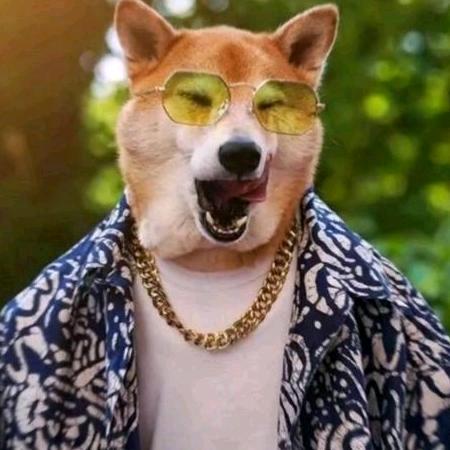 周城一咖