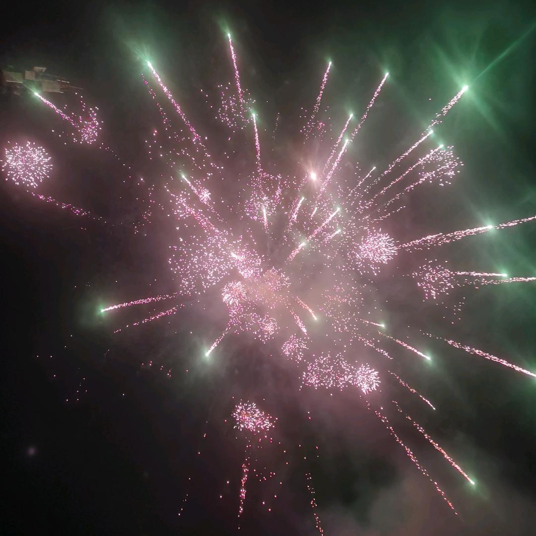 我勒个百战臭鼬