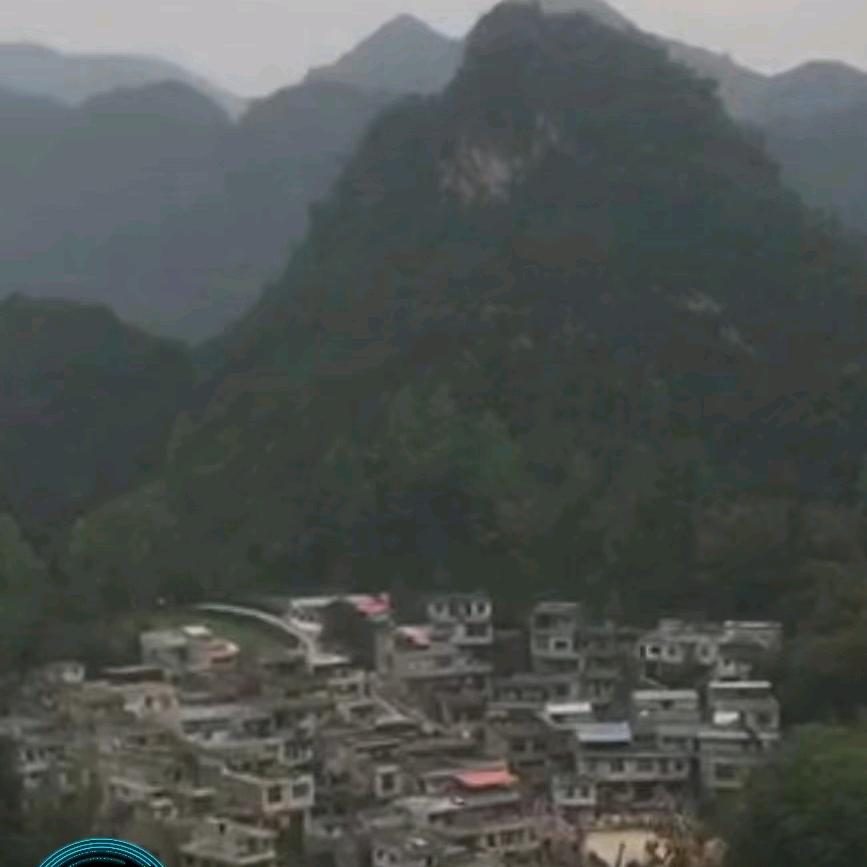 忘优草