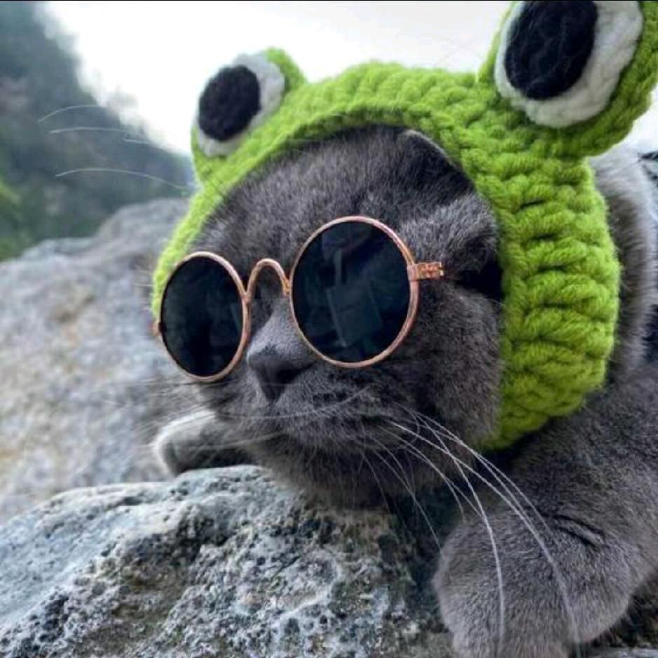 网恋奔现被强上