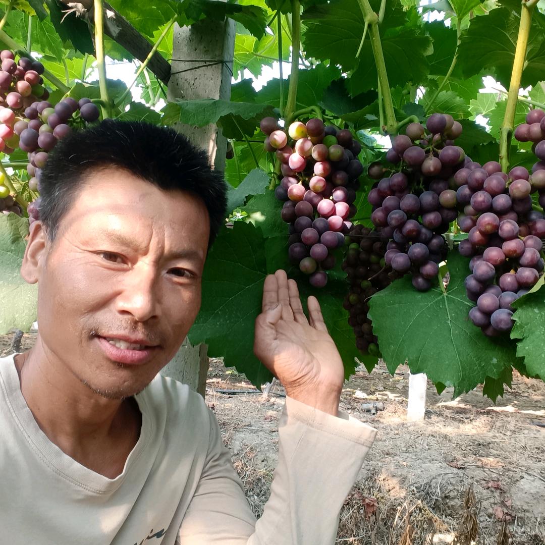 阿凤哥