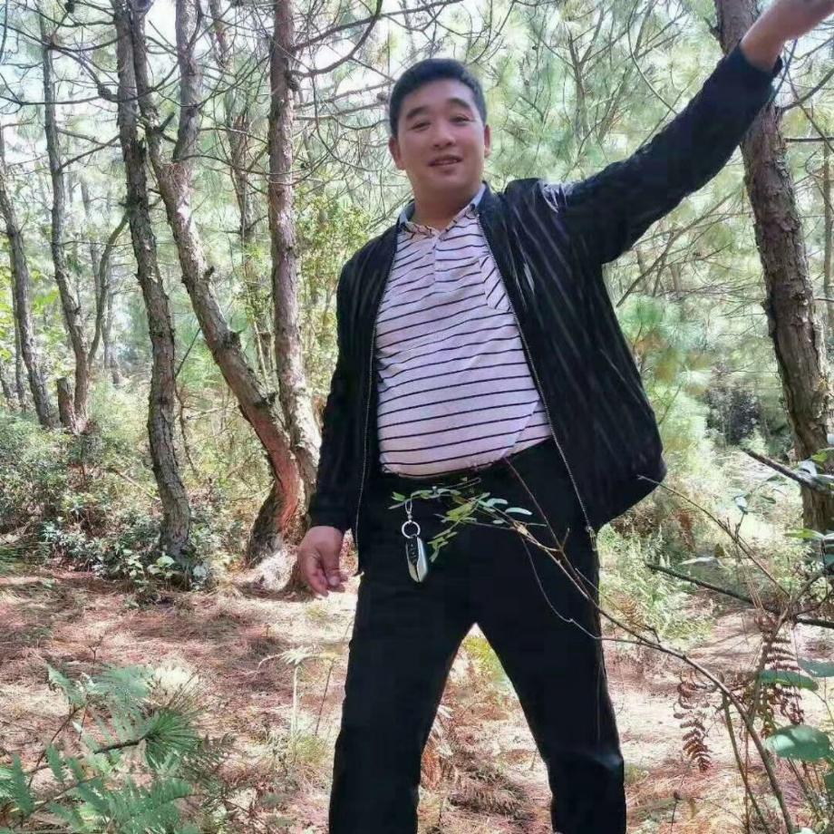 🌴深山老林