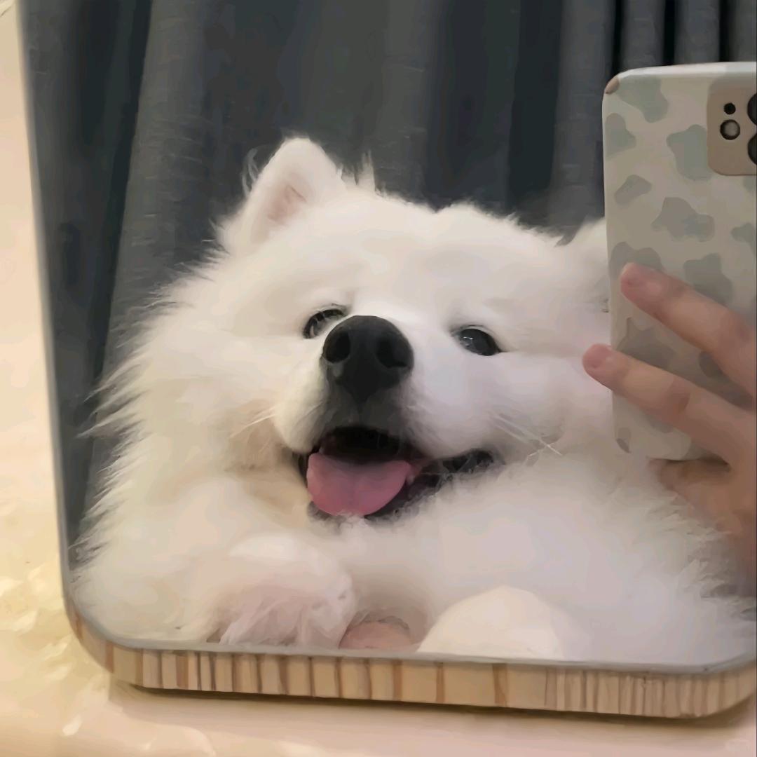 黏苞米糊糊