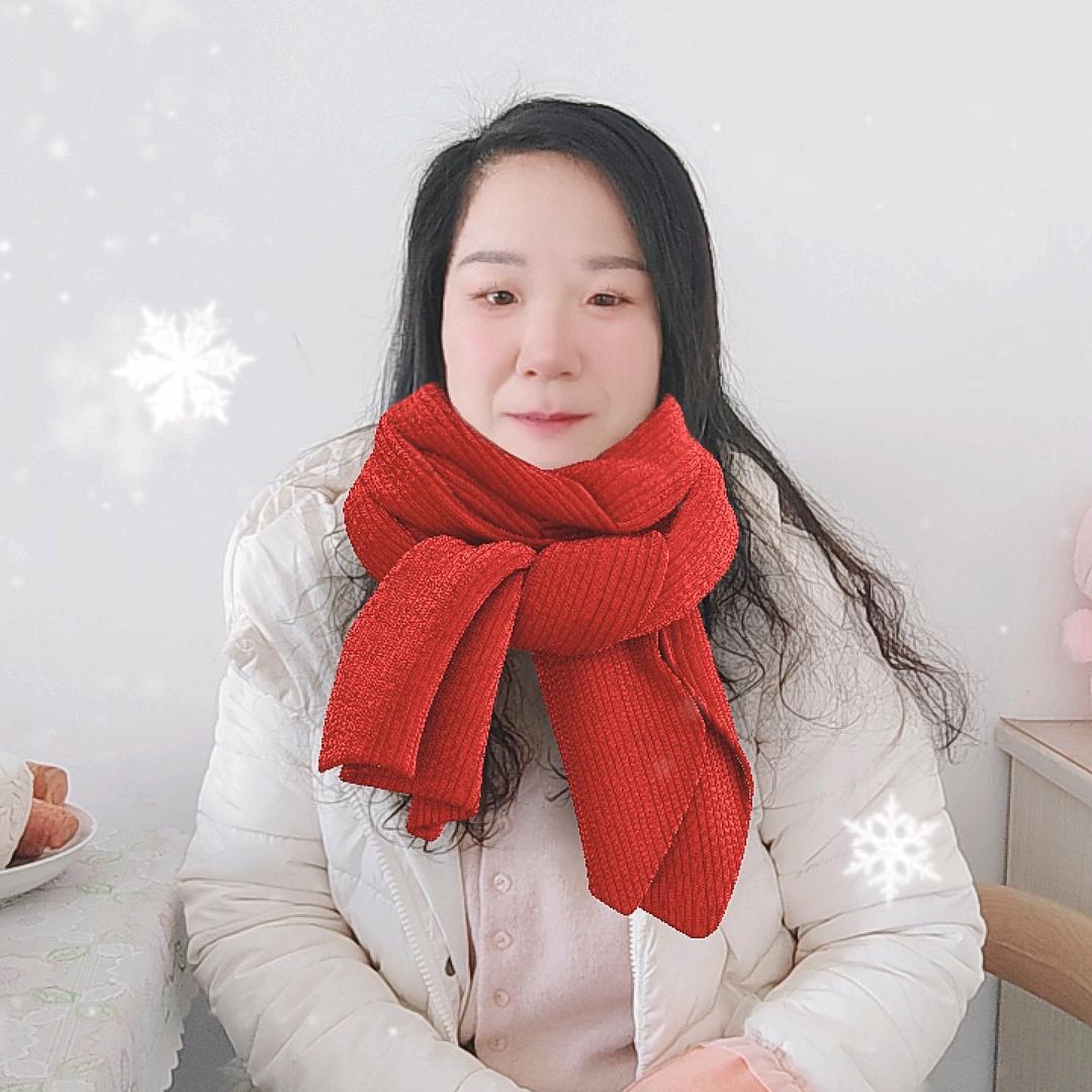 探月者