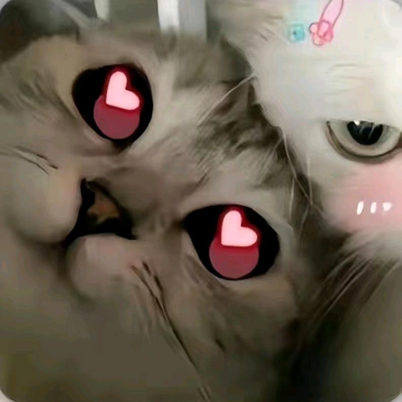 小十一.