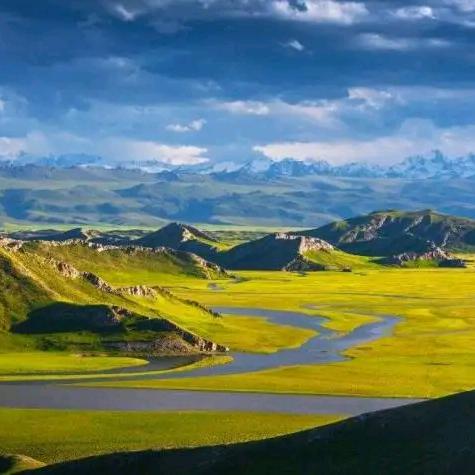 桃溪居士🔥🔥🔥