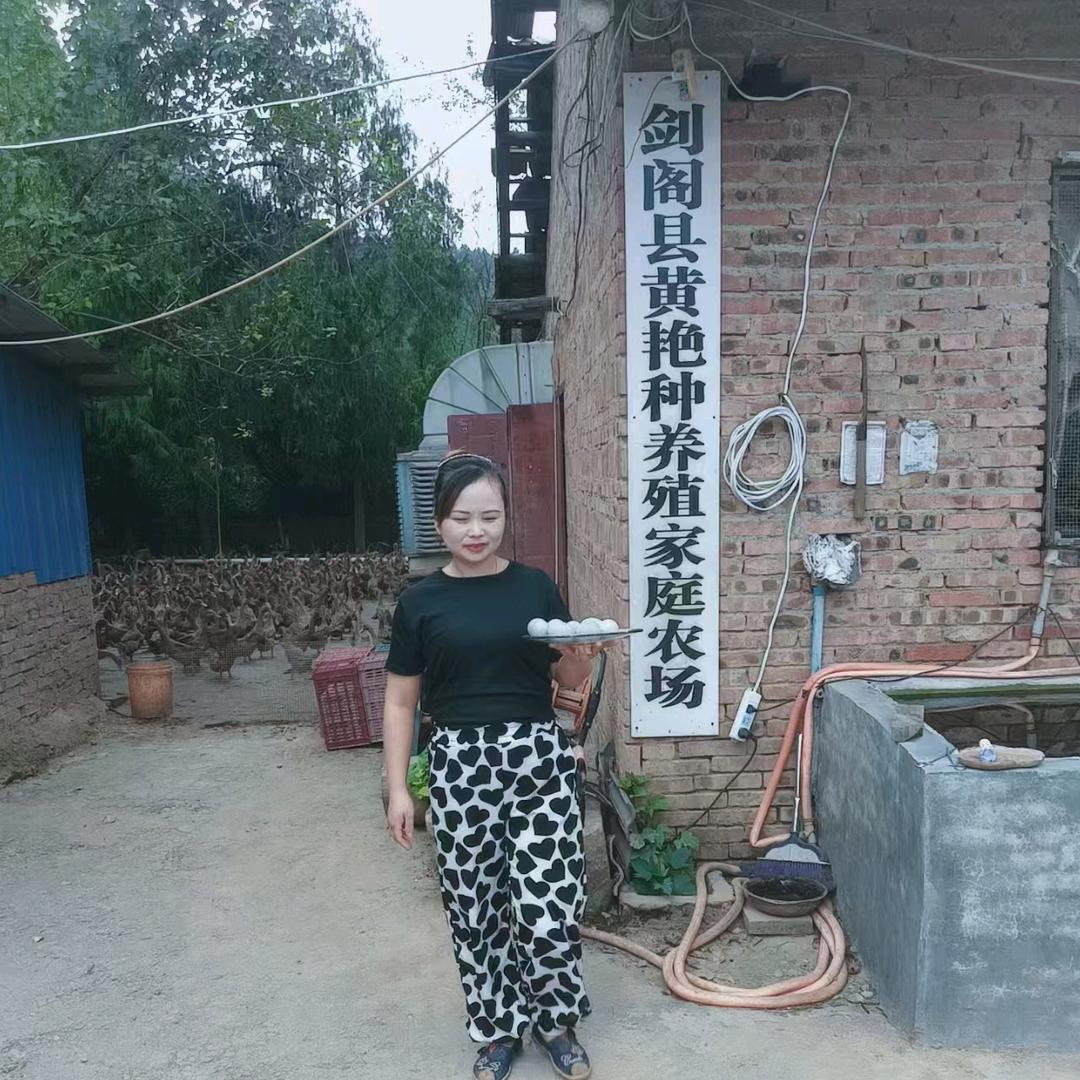 剑阁县《燕子鸭蛋》
