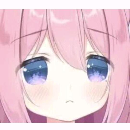 一只妖妖铃鸭