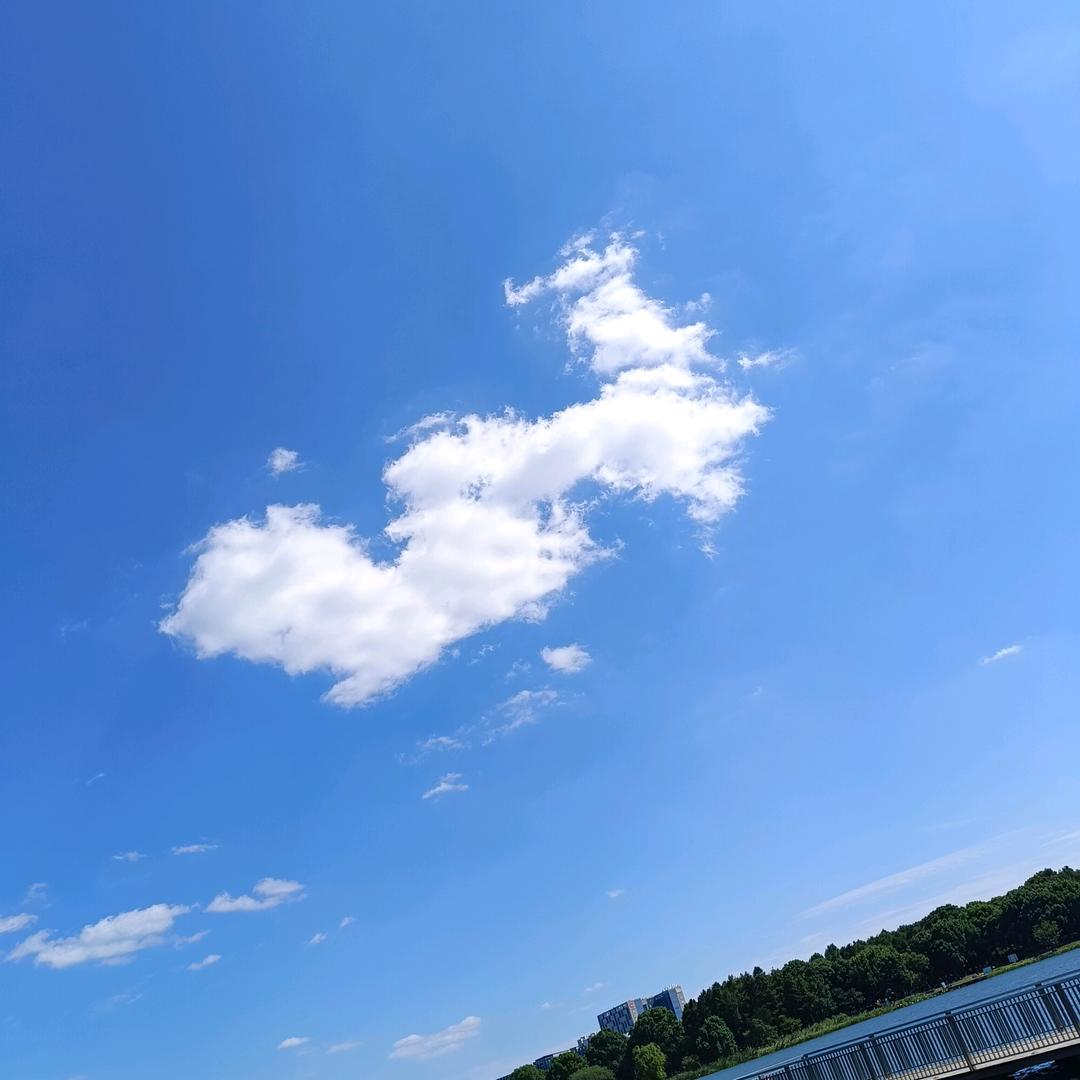 让过去的成为过去吧