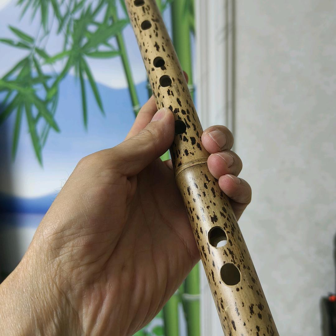 笛箫缘-史网记