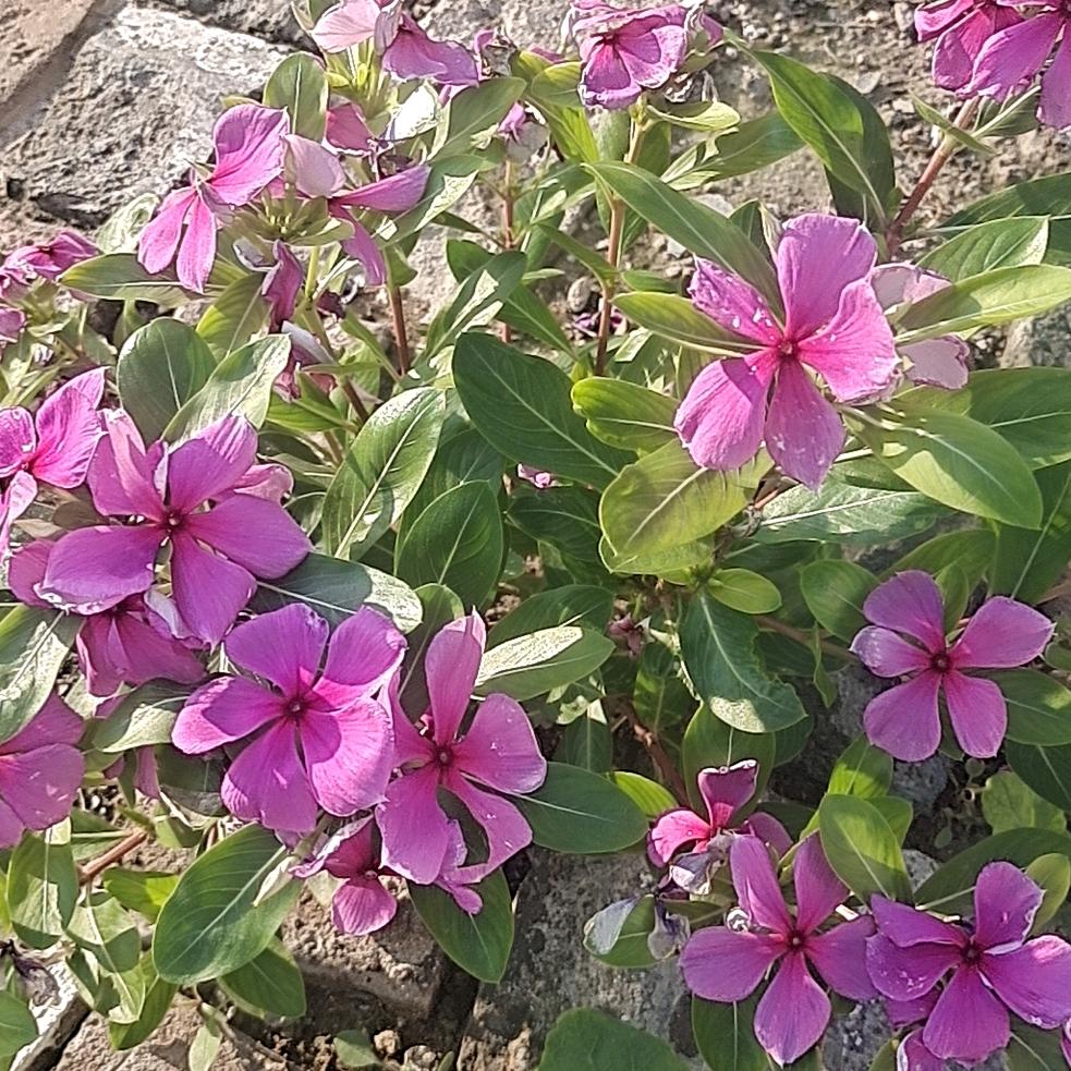一生有你