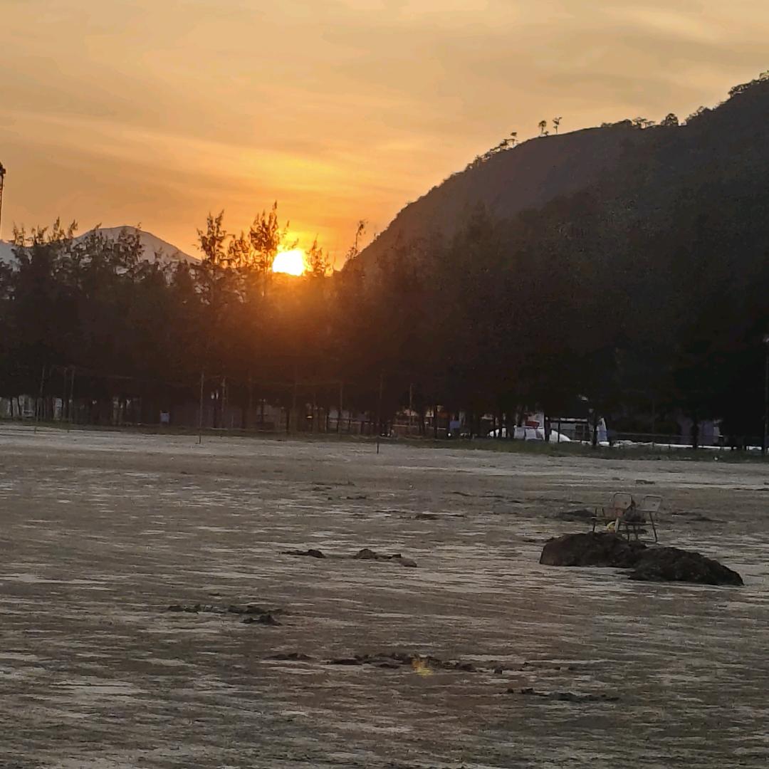 扶🏹摇🎄直🍀上🌱