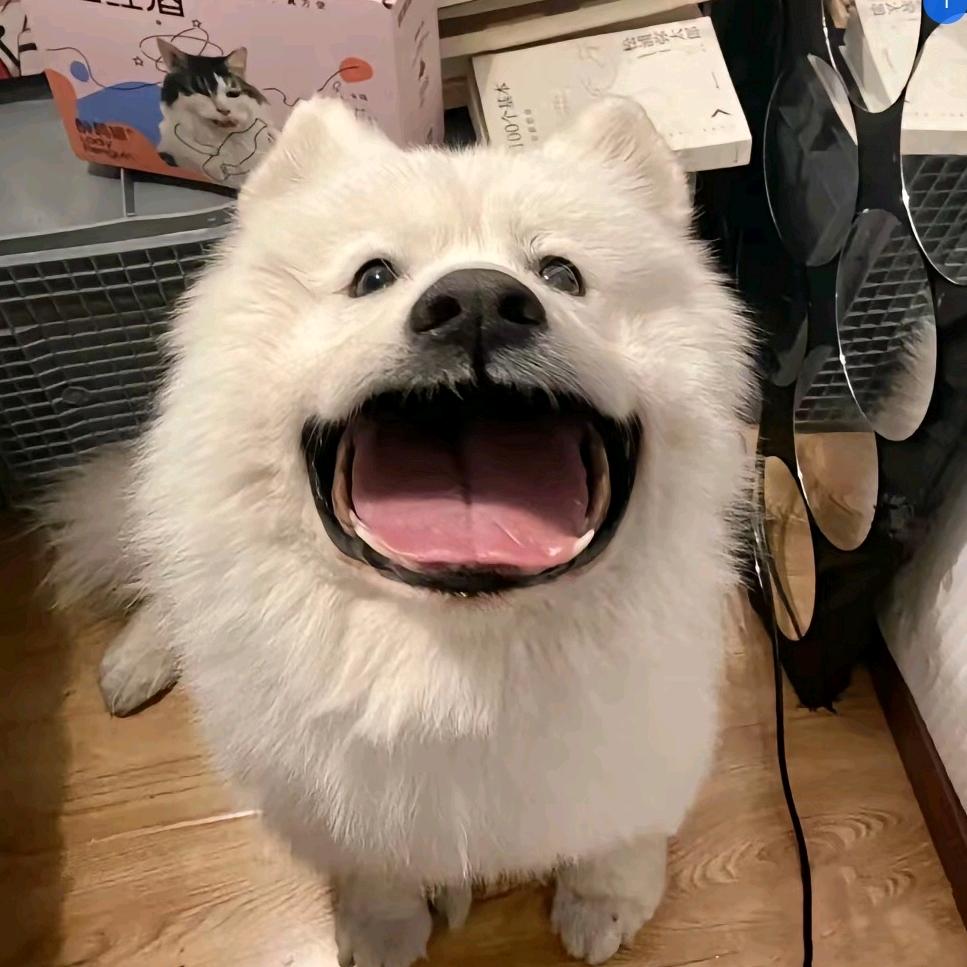 南风楠